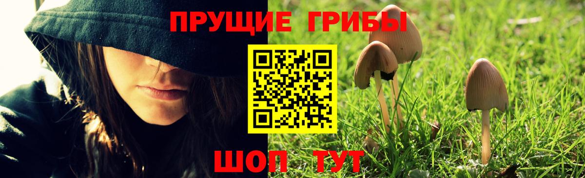 Южно-Сахалинск  что такое   Вход с VPN  Псилоцибиновые грибы мухоморы 
